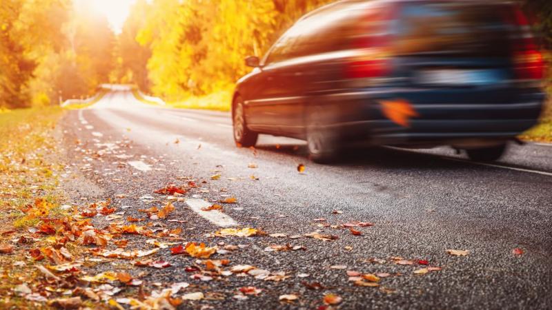 Fel fog szállni a köd Szeged egéről? Holnap fény derül rá!