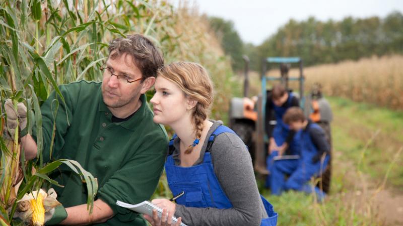 A magyar mezőgazdaság jövője egyre izgalmasabb perspektívákat kínál, és egyre többen mernek belevágni ebbe a dinamikusan fejlődő ágazatba. Az Agro Napló legfrissebb hírei szerint a gazdák és vállalkozók új technológiákkal és innovatív megoldásokkal próbál