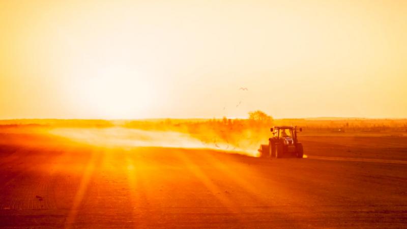 Itt egy olyan hőség vár ránk, ami valóban próbára teszi majd a tűrőképességünket: a gyilkos kánikula ismét beköszönt - Agro Napló.