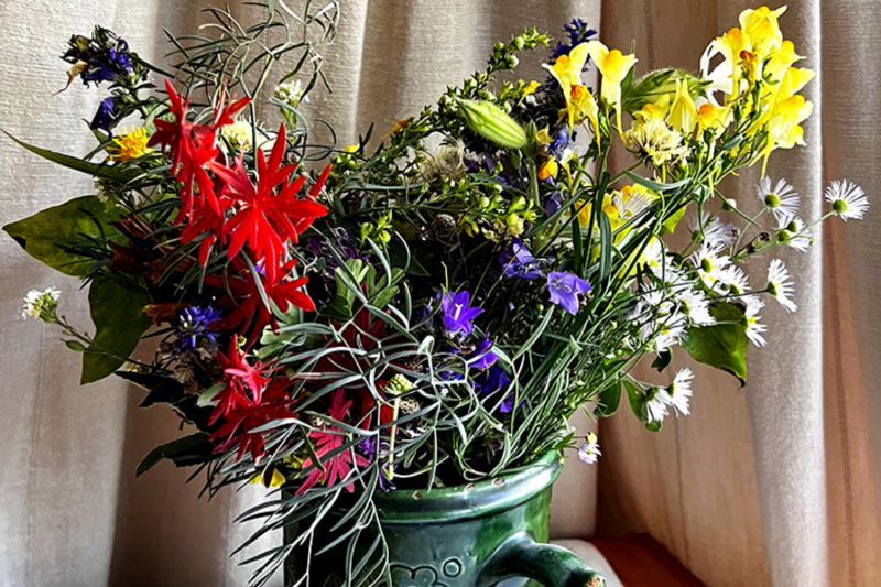 A természet csodás kalendáriuma (DCXC.)

A természet ritmusai és ciklusai egy különleges kalendáriumot alkotnak, amely minden évszakban új élményeket és csodákat kínál. Az év folyamán a természet folyamatosan változik, a fák levelei színt váltanak, a virá