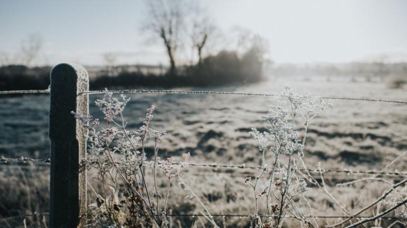 Közeleg a hideg időjárás: érdemes mindenkinek alaposan felkészülnie a következő napokra - Agro Napló