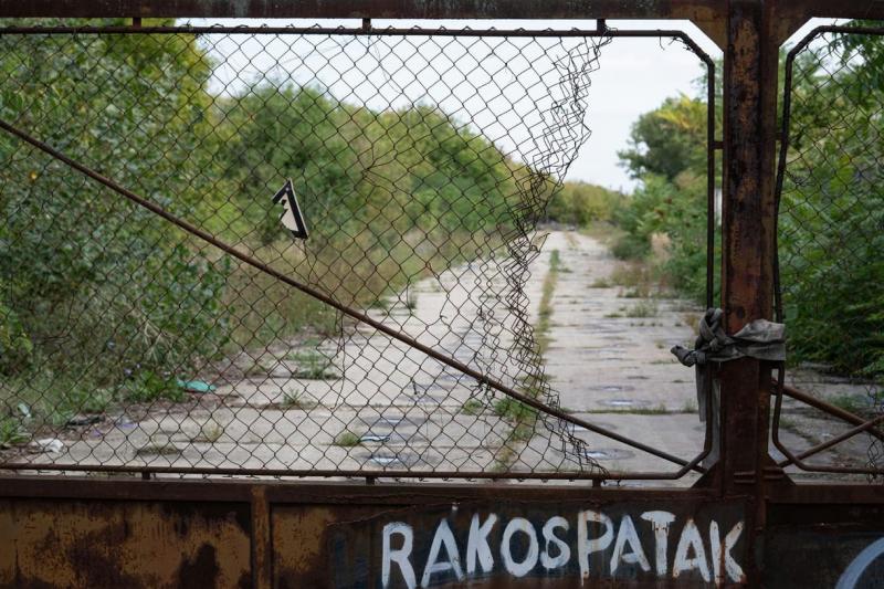 Ellátogattunk Rákosrendezőre, hogy felfedezzük, milyen eredményeket hozott eddig a főváros az arab projekt helyett.