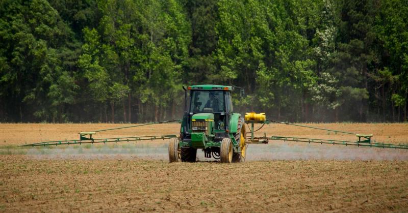 Forradalmi változások a védelem terén: a növényvédő szerek világától az algoritmusok innovatív alkalmazásáig.