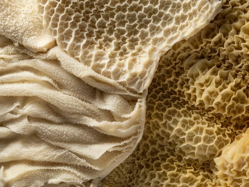 **7 Tipp a HVG-től: Az étel, ami mindenkit megoszt – A pacal rejtelmei!**

A pacal egy olyan étel, amely iránt az emberek véleménye szélsőségesen eltérő: van, aki rajong érte, míg mások messziről elkerülik. De hol érdemes felfedezni ezt a különleges fogás